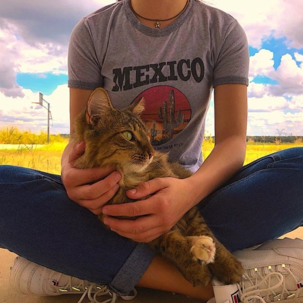 Mexico crop top